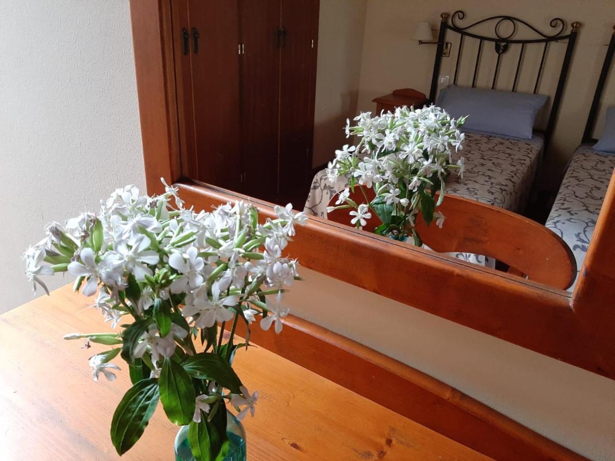 Acea Do Bubal Affittacamere Ourense Esterno foto
